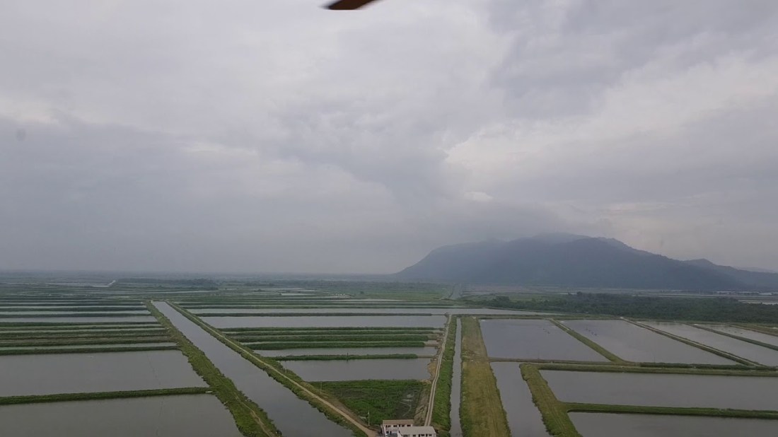 Shrimp farm in Ecuador, via https://www.youtube.com/watch?v=CWTBXd6yfdw video by Manoj M Sharma